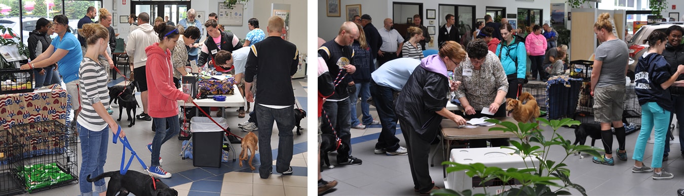 Patriot Subaru Dog Adoption Day June 2013.jpg