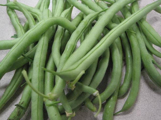 beans.jpg
