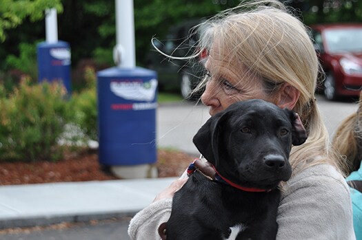 Patriot Subaru Dog Adoption June 2013 5.jpg