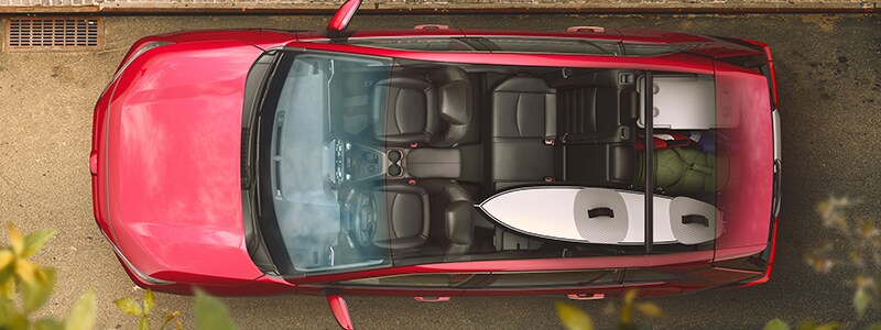 New 2019 Toyota RAV4 Marshall Texas