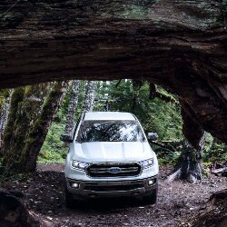 2019 Ford Ranger in forest