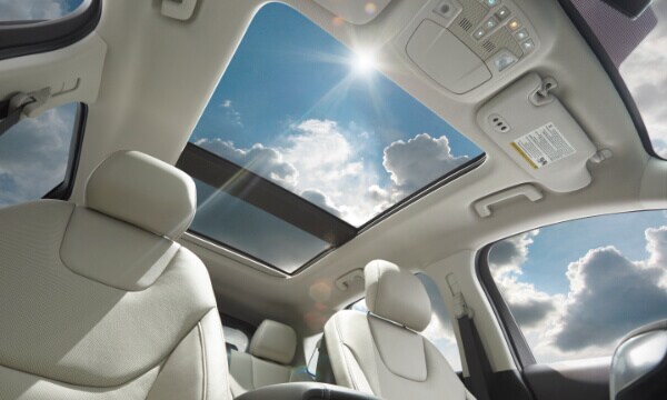 2018 Edge Vista Roof