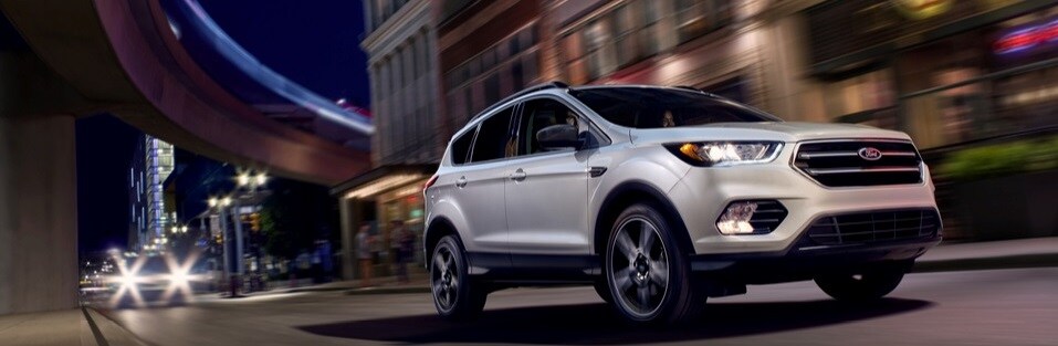 2019 Ford Escape in Canfield, OH