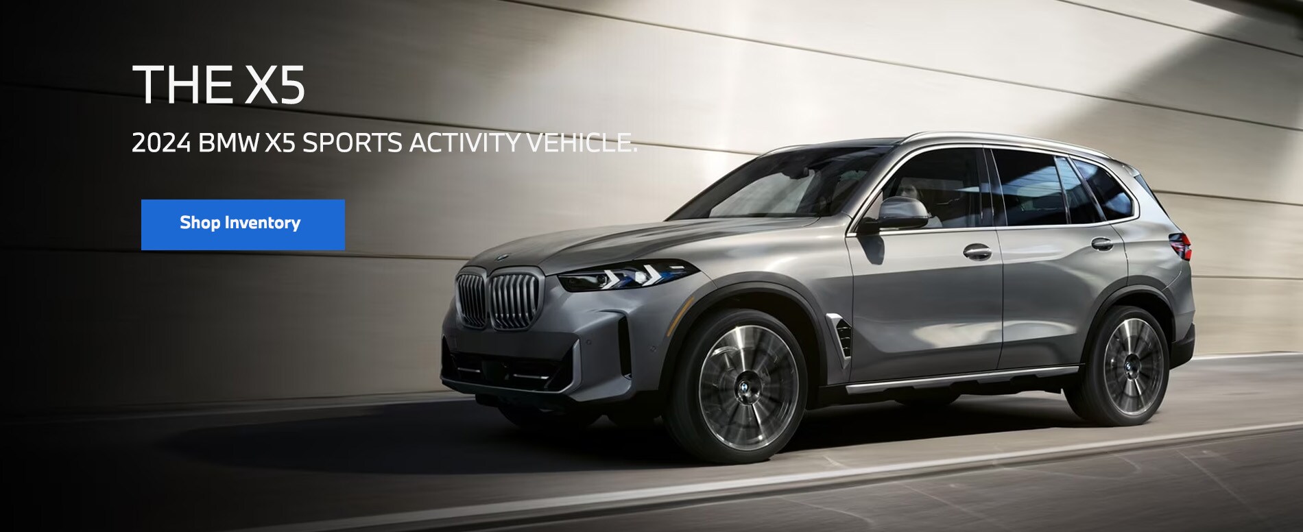 X5 Inventory page heading image.jpg