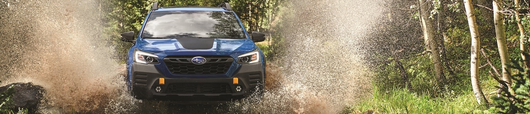 Subaru Dealer