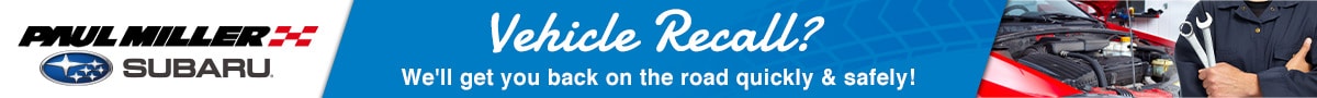 PMS_Recall Graphic_90x1200_12-19.jpg