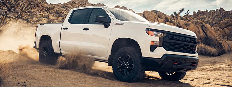 2025 Chevrolet Silverado 1500 LaFayette GA