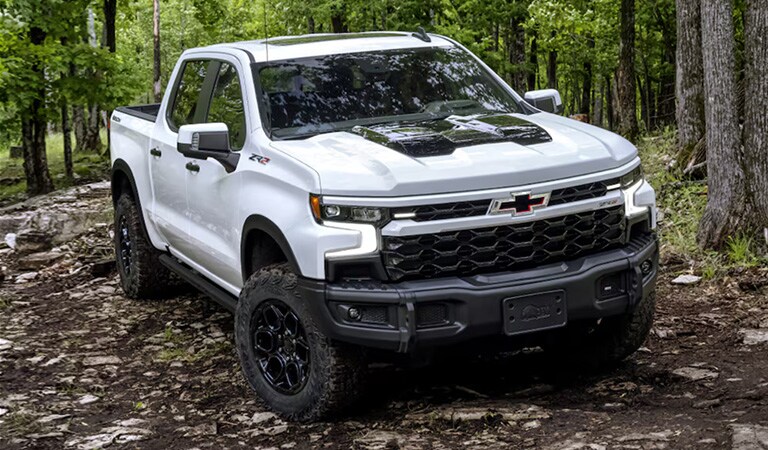 Vidalia Georgia 2025 Chevrolet Silverado 1500