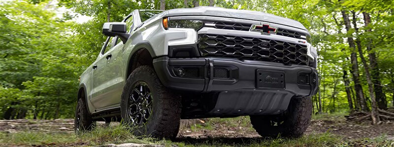 2025 Chevrolet Silverado 1500 Vidalia GA