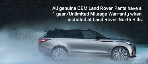 rover (3).jpg
