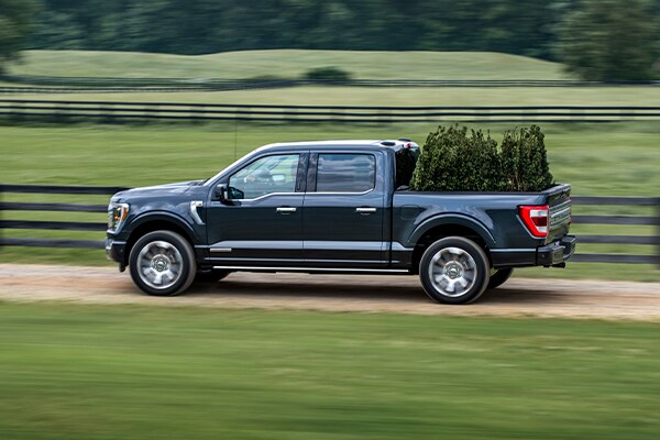 Peacock Ford F150 & F250