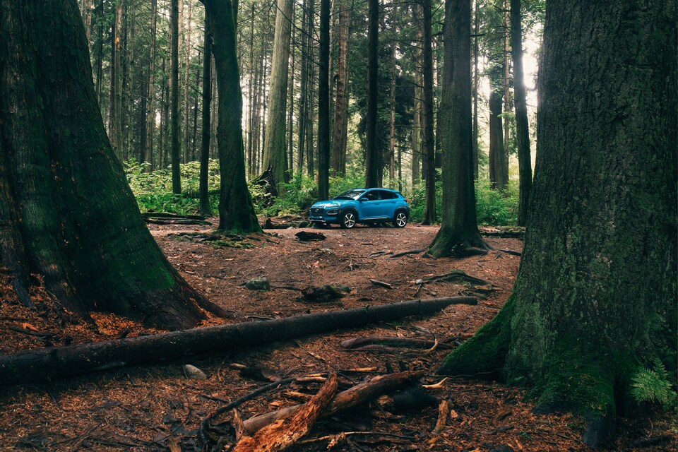 2021 Hyundai Kona
