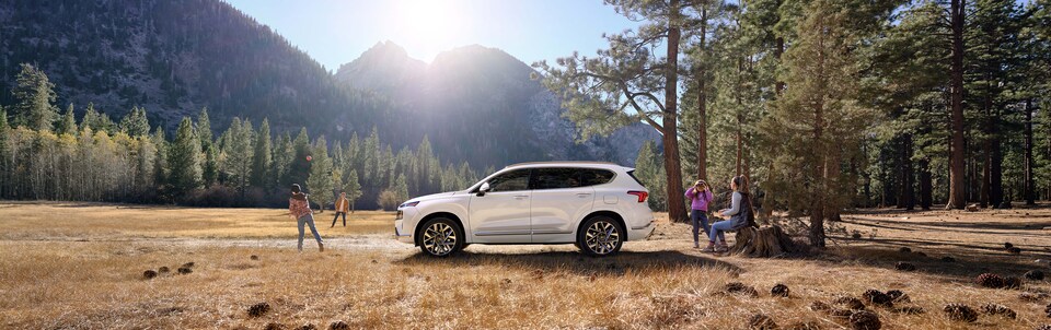 Hyundai Santa Fe Calligraphy