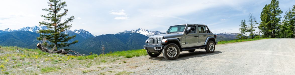 2019-Jeep-Wrangler-JL-UnlimitedRubicon-SUV-L07 (1).jpeg