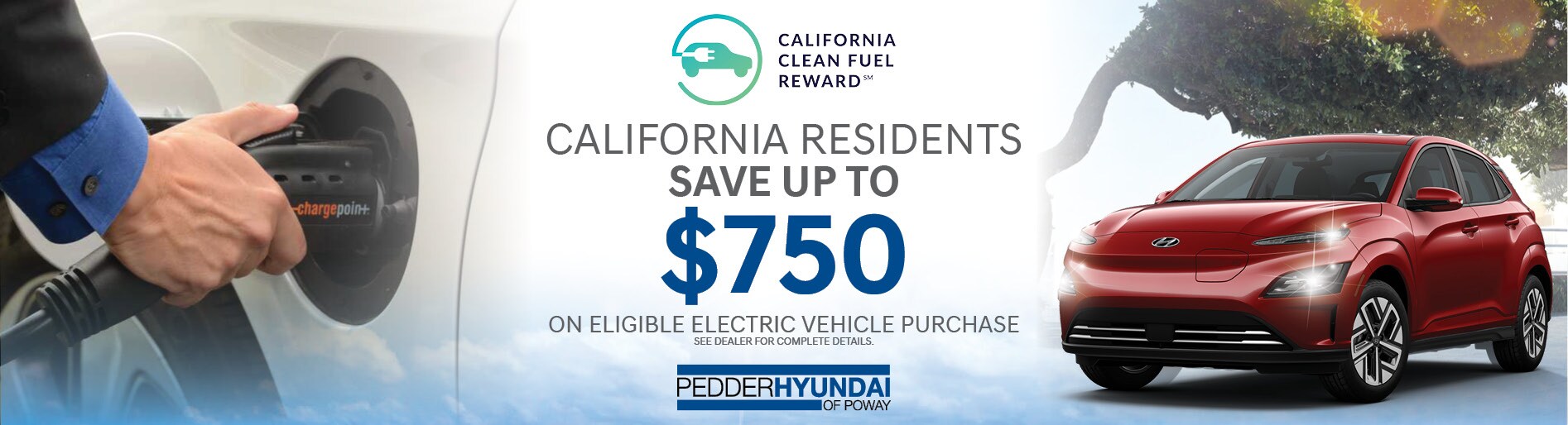 Pedder Hyundai CCFR Banner.jpg