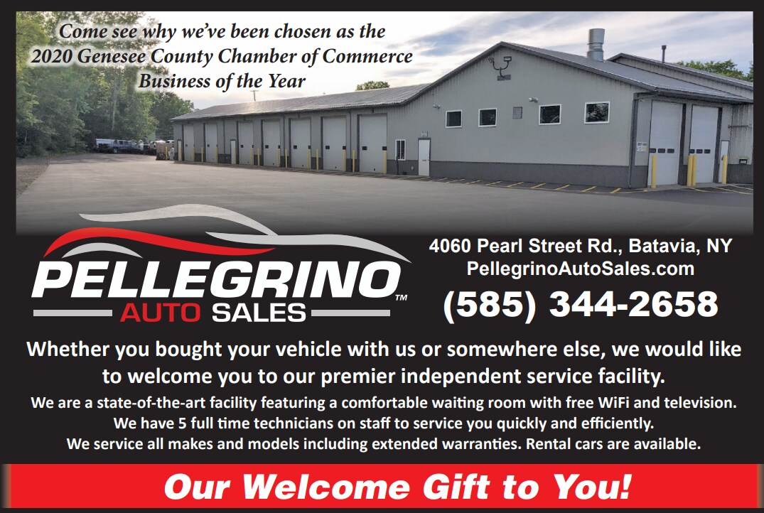 November Service At Pellegrino.png