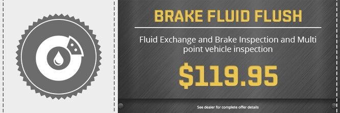 Brake fluid flush.jpg