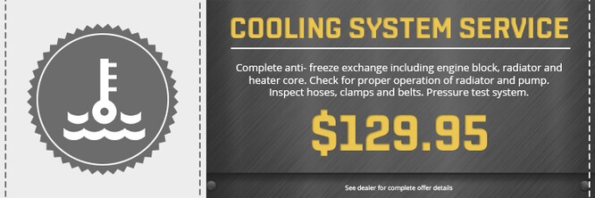 Cooling system.jpg