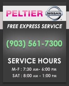 Peltier Nissan Shuttle Service