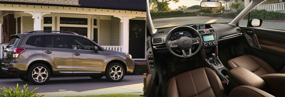 Forester-Banner.jpg
