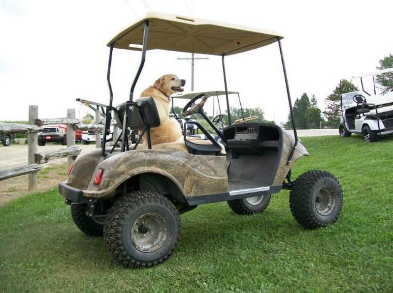 camo cart3.PNG