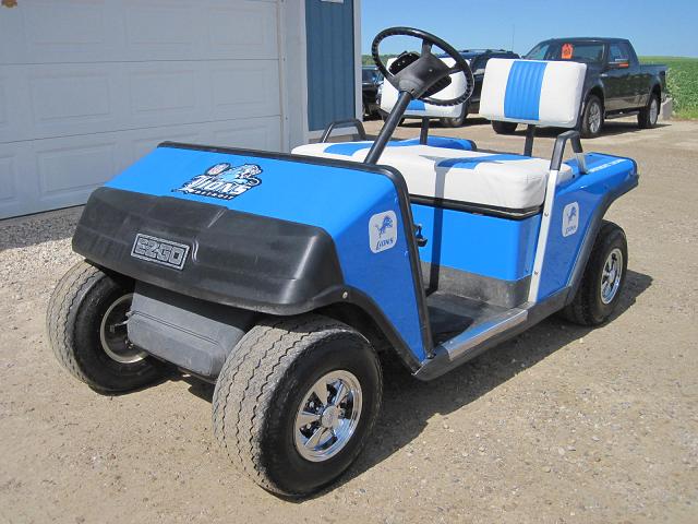 Detroit Lions Cart 002.JPG