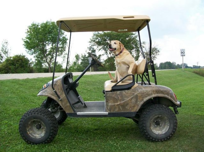 camo cart2.PNG