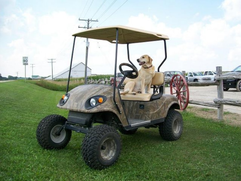camo cart.PNG