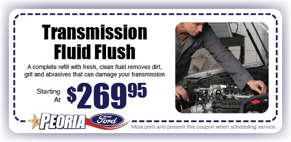 PF_-Service-Coupon_Print_TransFlush.jpg