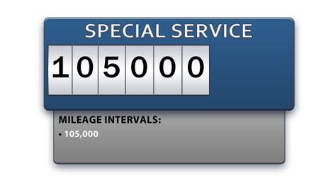 Special Service.jpg