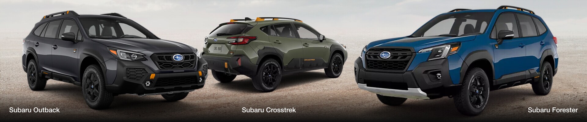 Subaru Wilderness