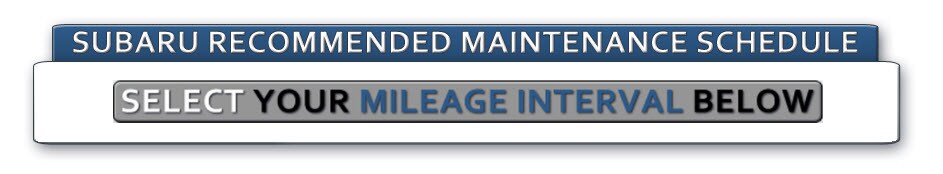 Service Maintenance Schedule Header.jpg