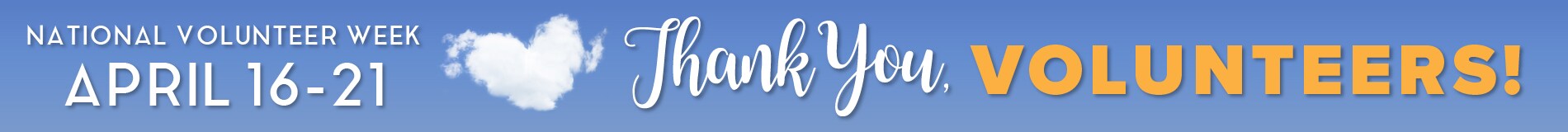 Volunteer Week at Performance Auto Group
