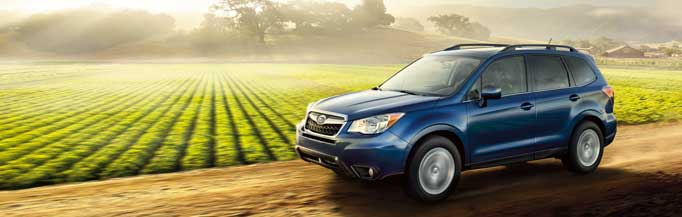 Forester In motion.jpg