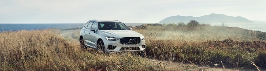 2019 Volvo XC60