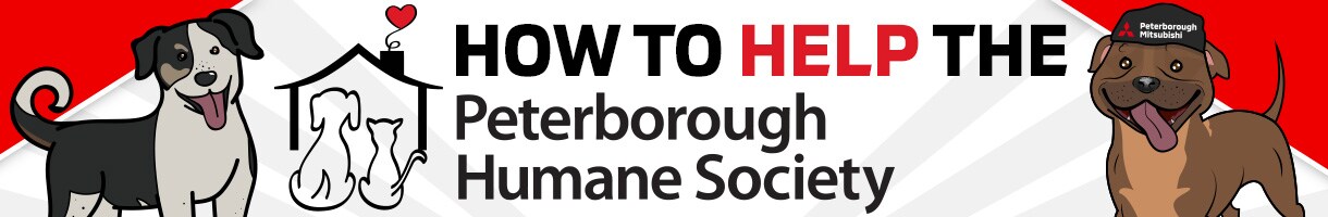 Mitsubishi_Peterborough_HumaneSociety_1220w_HowtoHelp.jpg
