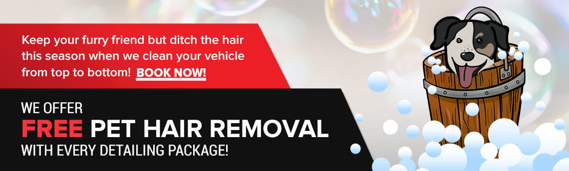 Peterborough-pet-hair-removal-detailing-1.jpg