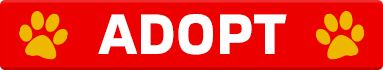 Mitsubishi_Peterborough_CTA_HumaneSociety_Adopt.png