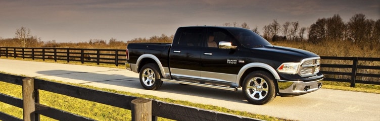 ram on country road.PNG