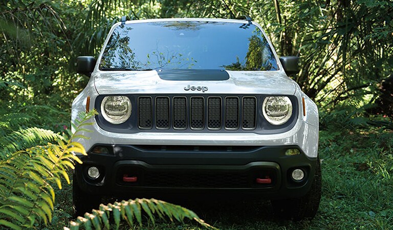 New 2019 Renegade Lumberton NC