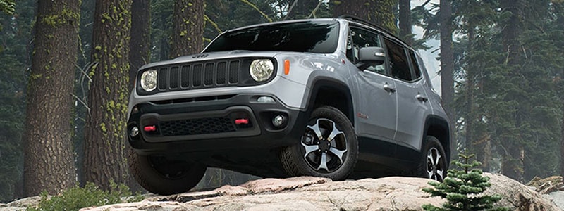 New 2019 Renegade Lumberton North Carolina