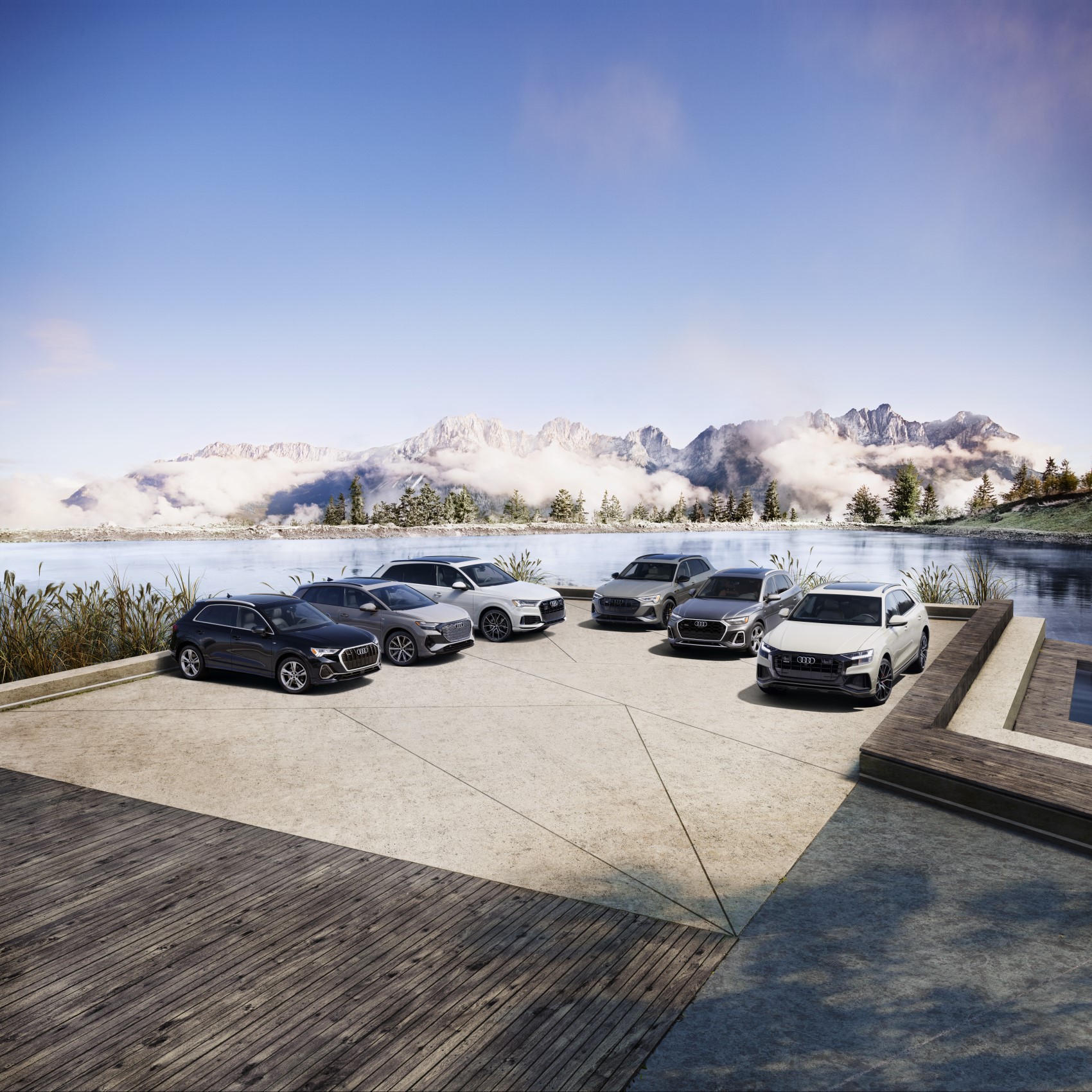 Audi Q8 Line Up