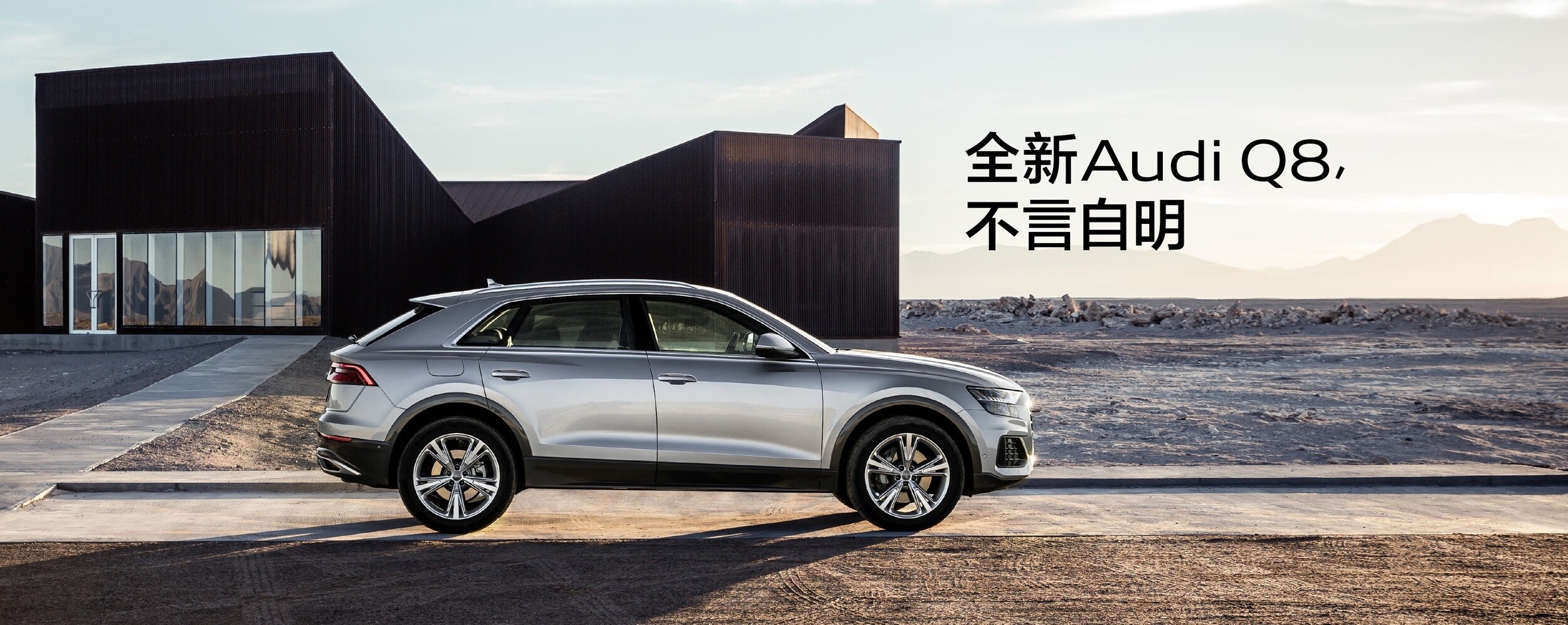 Pfaff-Audi-Q8-Landing-page-Image.jpg