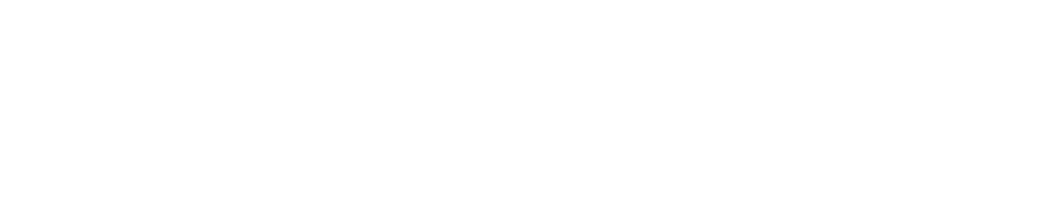 Pfaff Audi White.png