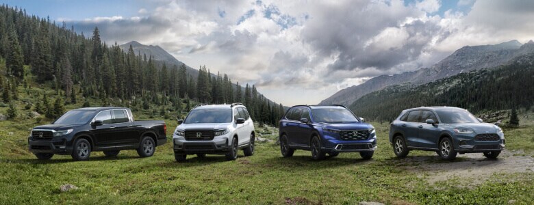 All Honda Model Research