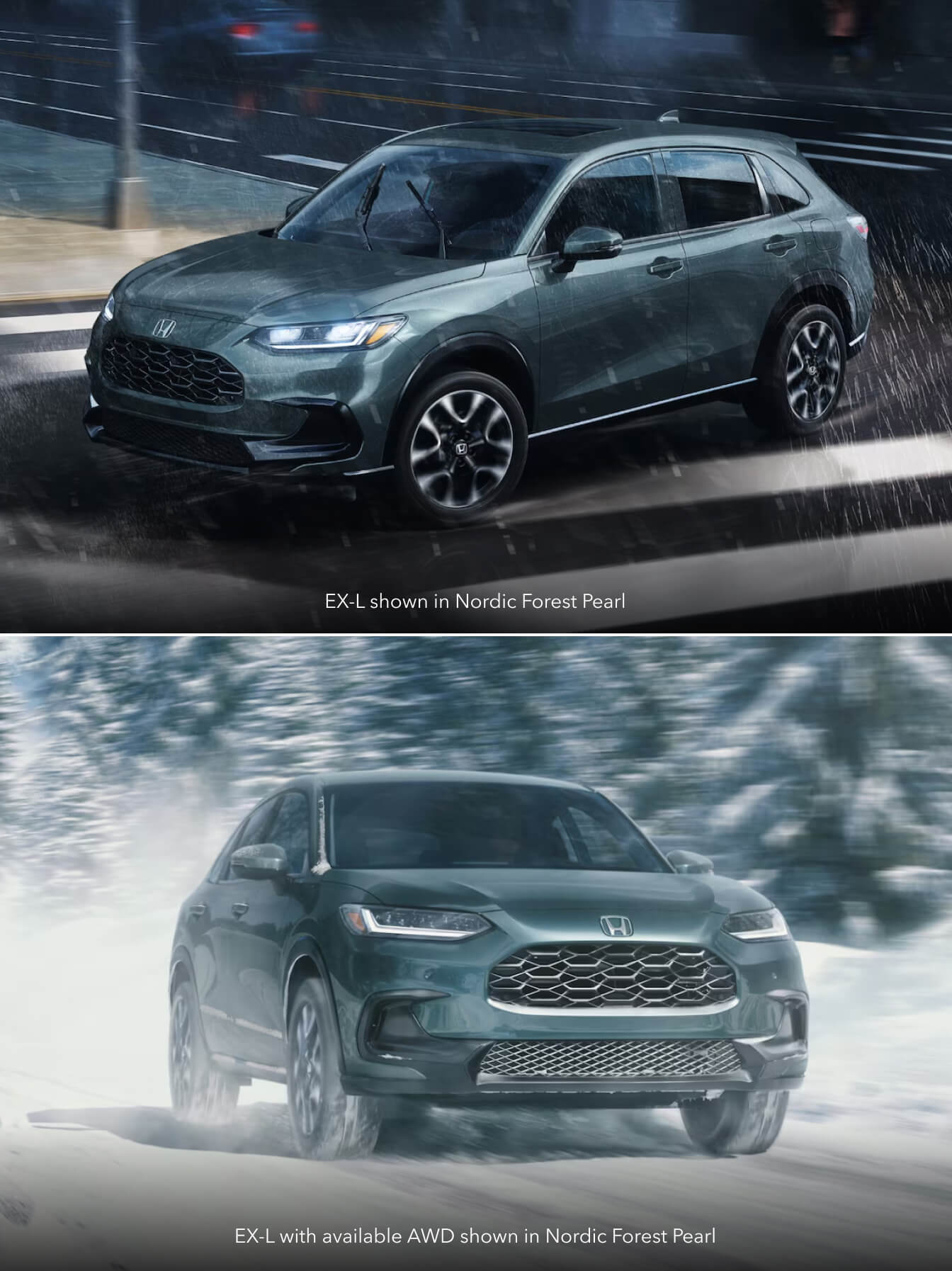 All-Season Protection Package II