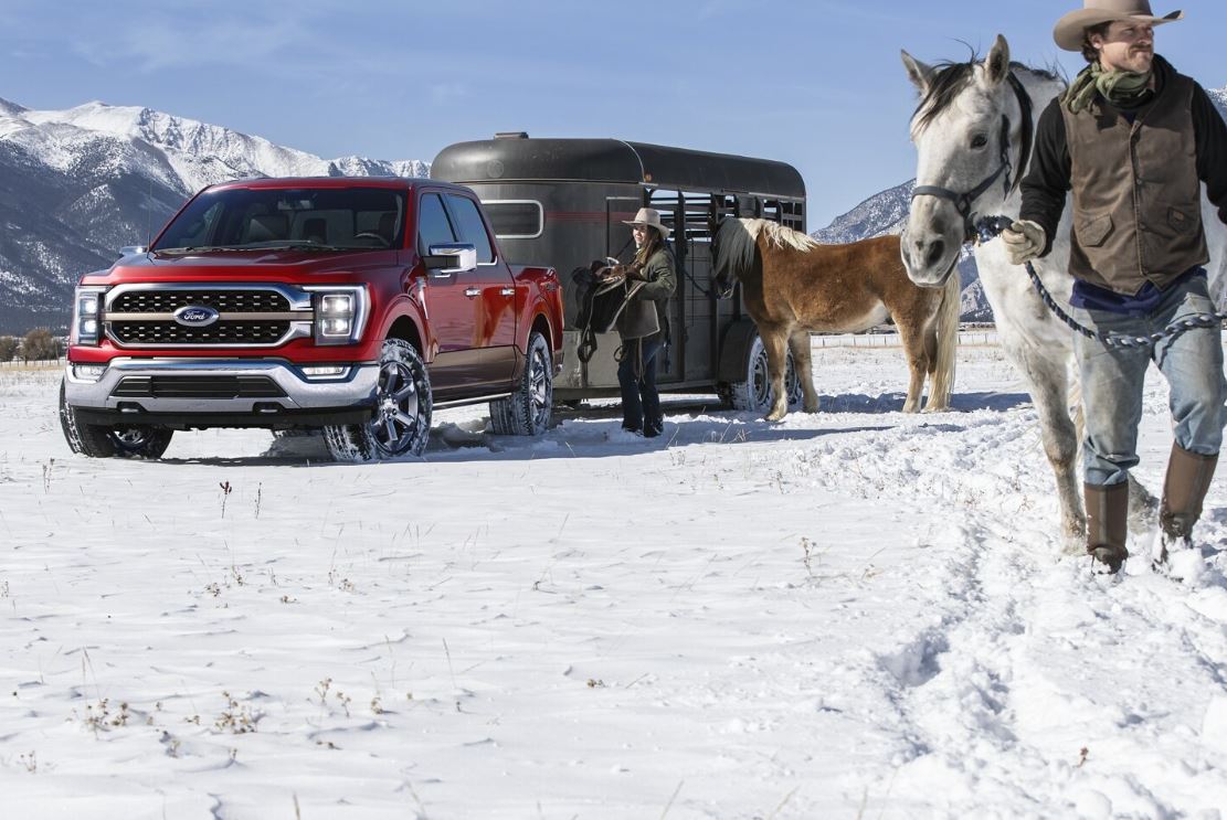 Ford In Colorado 101823.JPG A Ford F-150 with a trailer carrying horses through snowy terrain.