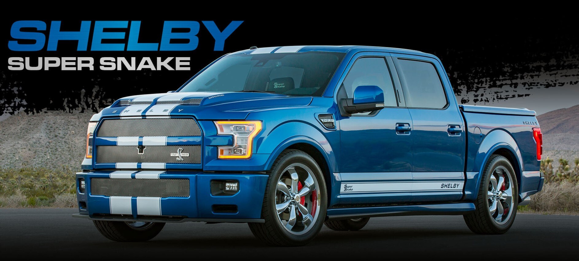 03-shelby-super-snake.jpg