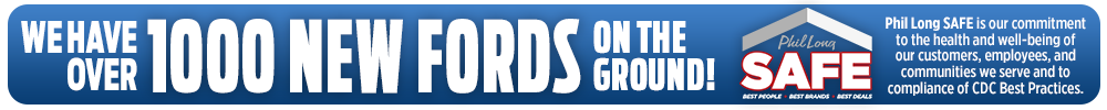 1000Fords 1 (1).png