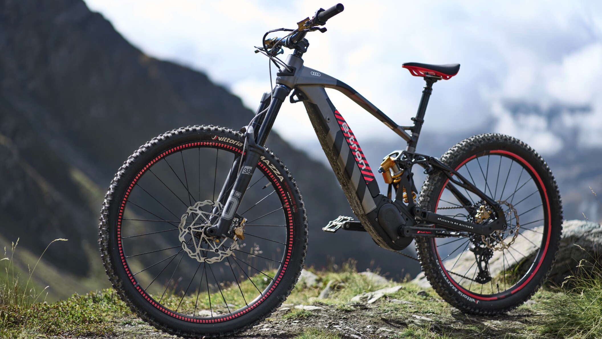 Audi%20e%20mtb.png